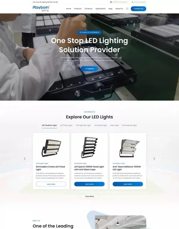 外贸独立站搭建案例