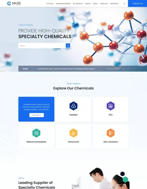 外贸独立站搭建案例