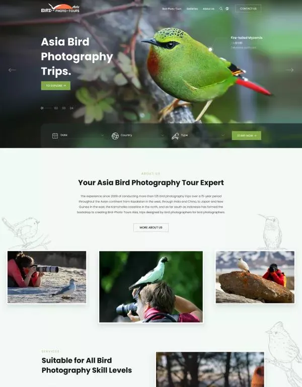 外贸独立站搭建案例