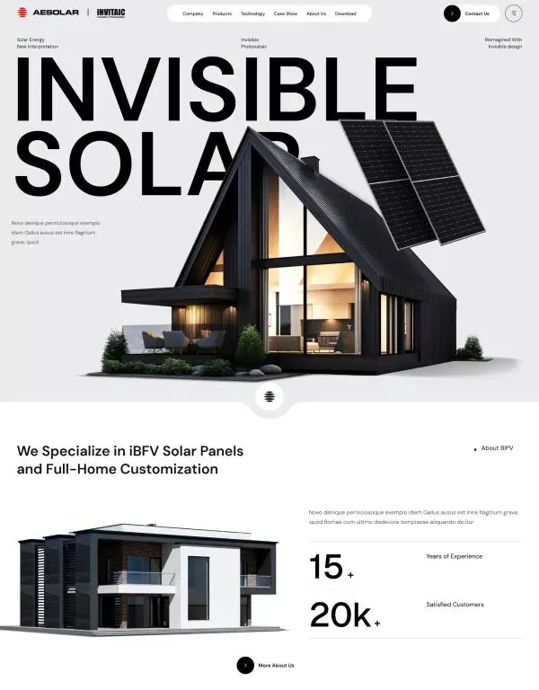 外贸独立站搭建案例