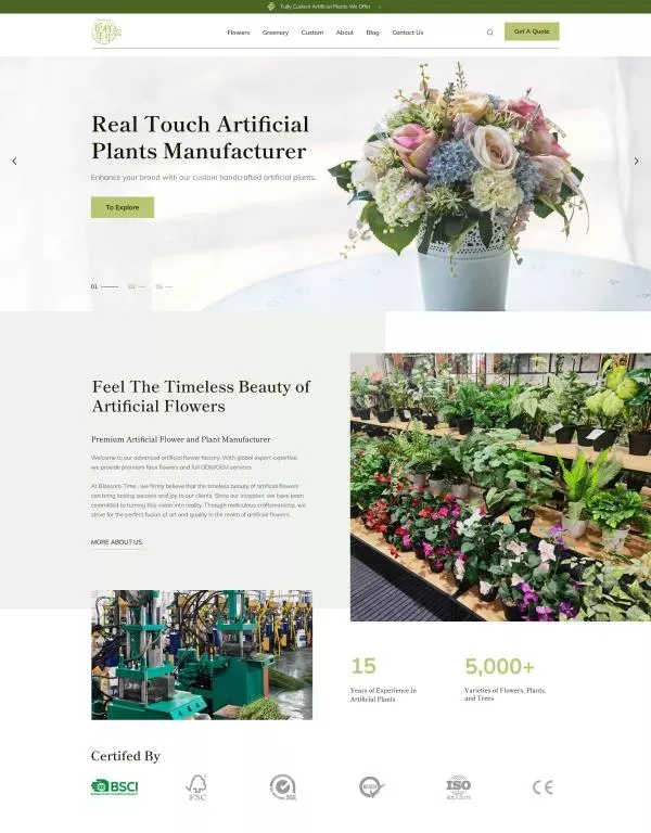 外贸独立站搭建案例